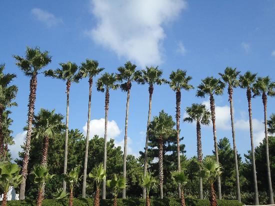 翰林公園